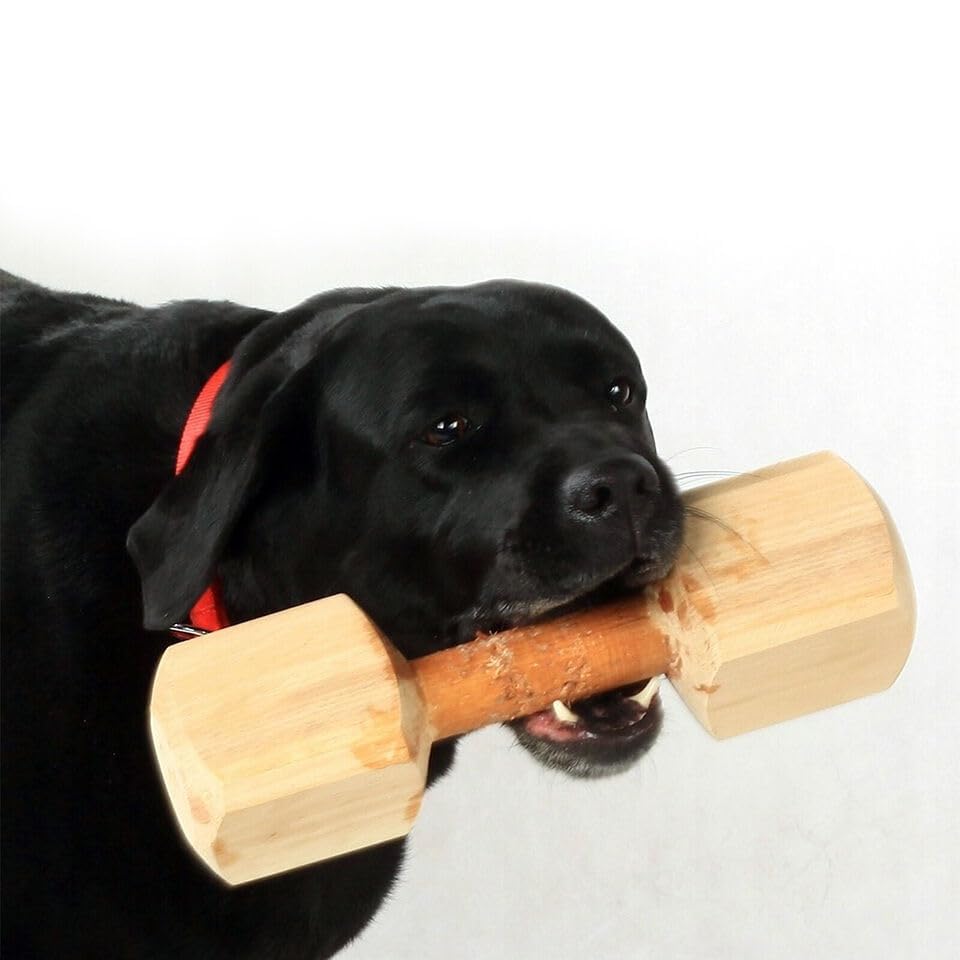 Udaipur HandiCrafts Wooden Dumbbell Chew Toy, 100% Natural Wood Training Toy for Dogs and Puppies - Keeps Teeth and Gums Healthy Oral Care