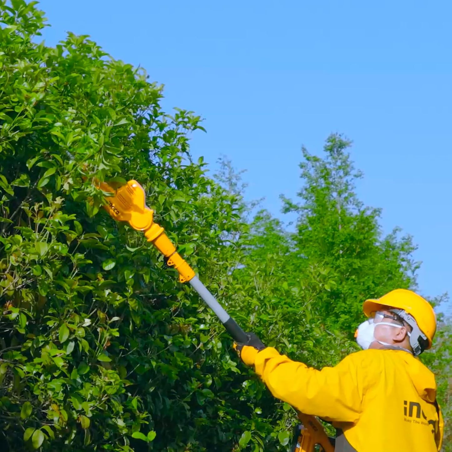 INGCO Cordless Pole Hedge Trimmer, with Battery & Charger, Extended Reach for Trimming Shrubs Small Trees