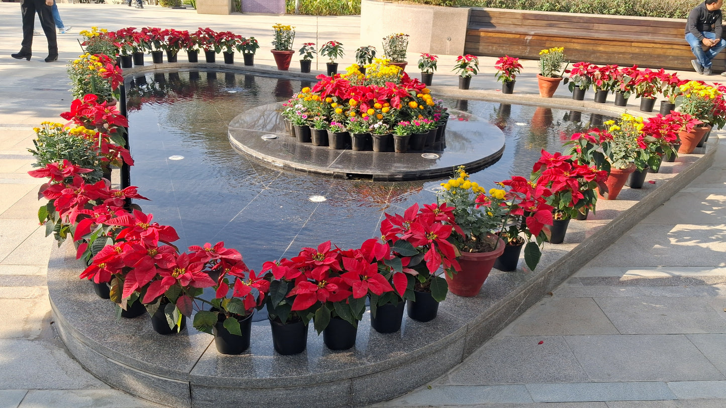 Udaipur Handicrafts Granite Fountain and Garden Decor for Home, Offices, Mall, Garden and public places