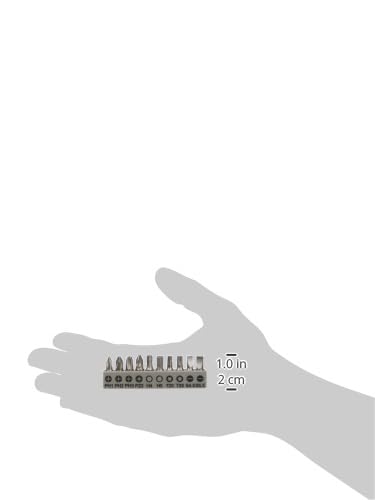 Bosch Professional 11-piece screwdriver bit set with metal flexible extension (200mm)
