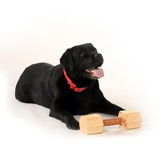 Udaipur HandiCrafts Wooden Dumbbell Chew Toy, 100% Natural Wood Training Toy for Dogs and Puppies - Keeps Teeth and Gums Healthy Oral Care