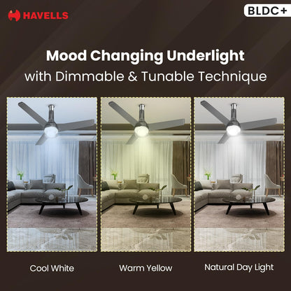 Havells 1200mm Crista Underlight BLDC Ceiling Fan | Remote Controlled, Smart Fan, IoT Enabled, Alexa & Google Home Compatible | 5 Star Rated, Upto 60% Energy Saving, 2 Year Warranty | (Slate Chrome)