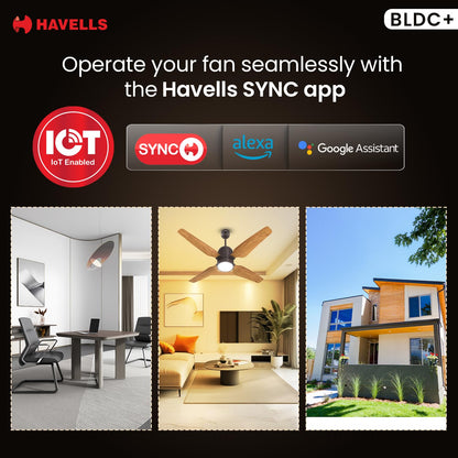 Havells 1200mm Momenta Underlight BLDC+ Ceiling Fan | Remote Controlled, Smart Fan, IoT Enabled, Alexa & Google Home Compatible | Upto 60% Energy Saving, 2 Year Warranty | (Smoke Brown Pine Wood)