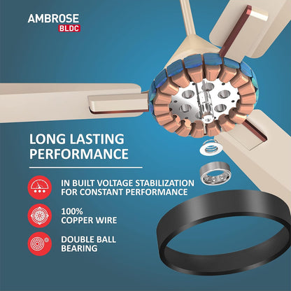 Havells 1200mm Ambrose BLDC Motor Ceiling Fan | Remote Controlled, High Air Delivery Fan | 5 Star Rated, Upto 60% Energy Saving, 2 Year Warranty | (Pack of 1, Gold Mist Wood)
