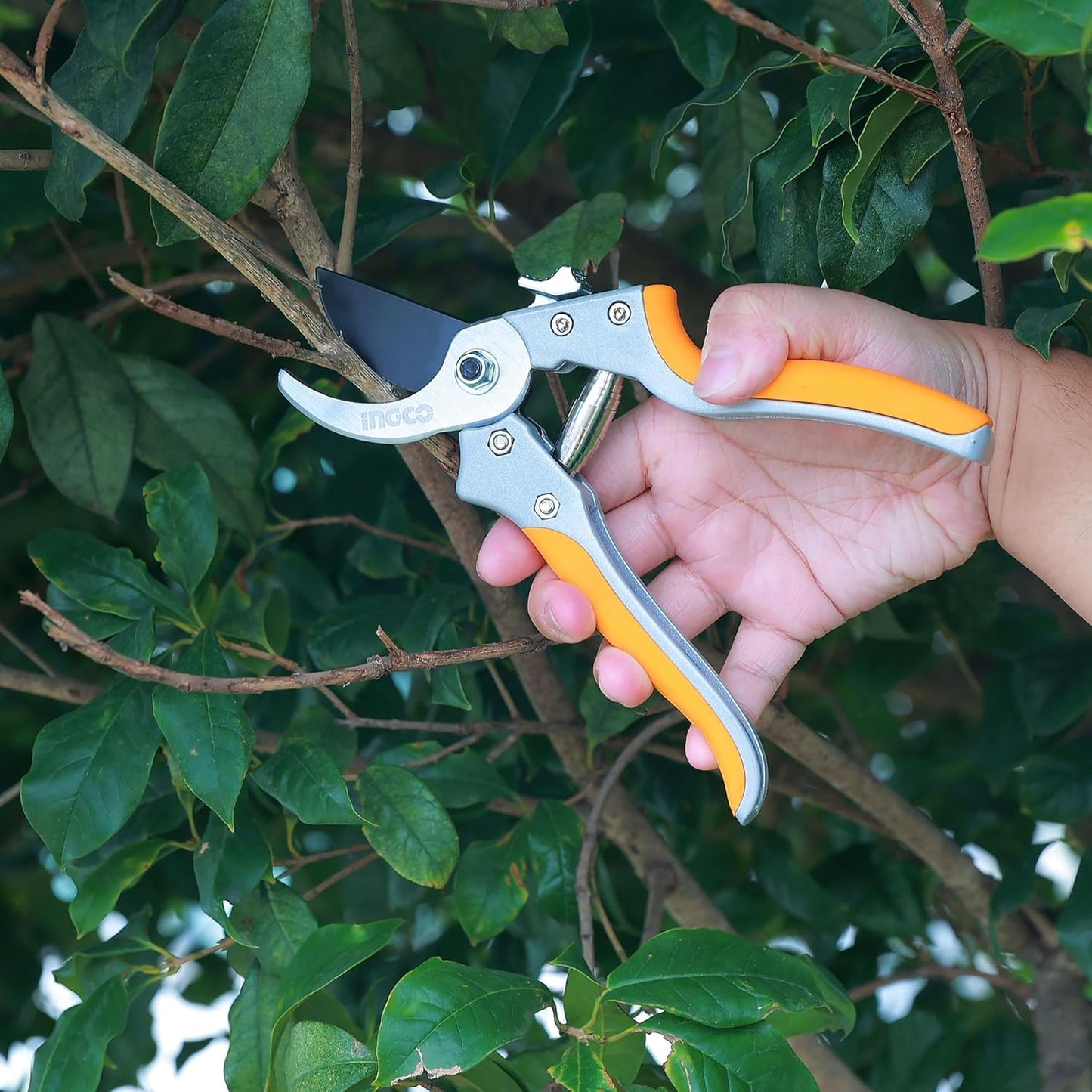 INGCO 8" Pruner for Gardening, Heavy Duty Plant Cutter, Heat Treatment Blade, Pruner Cutter, Garden Clippers, Garden Tools For Home
