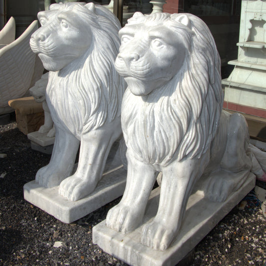 White Marble Lion