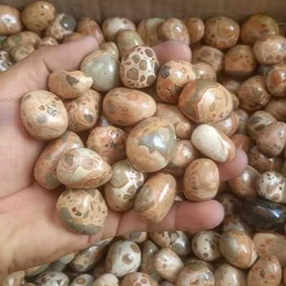 River Stone Pebbles ( Brown Mix )